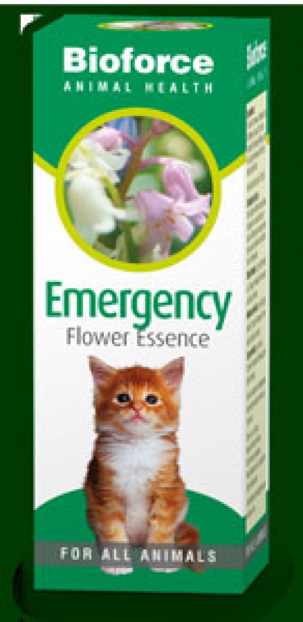 Australian Bush Flower Essences Emergency Pets Best Flower Site