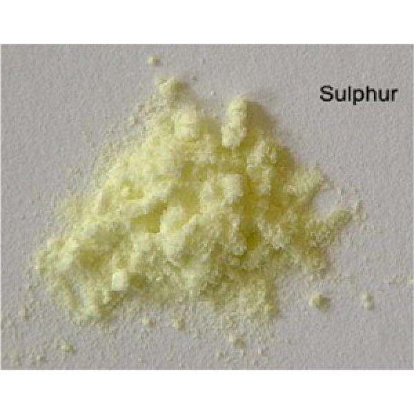 Helios Homeopathy Sulphur